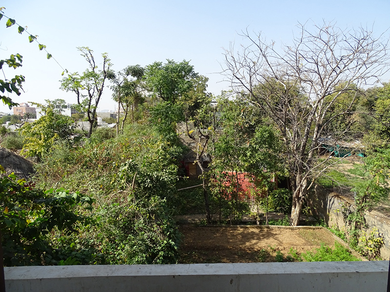 garden view from balcony