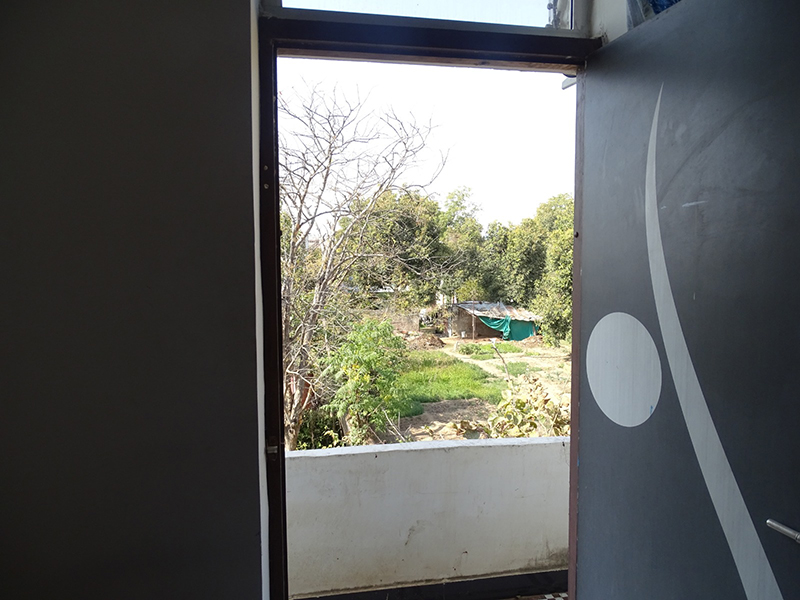 garden view from a room