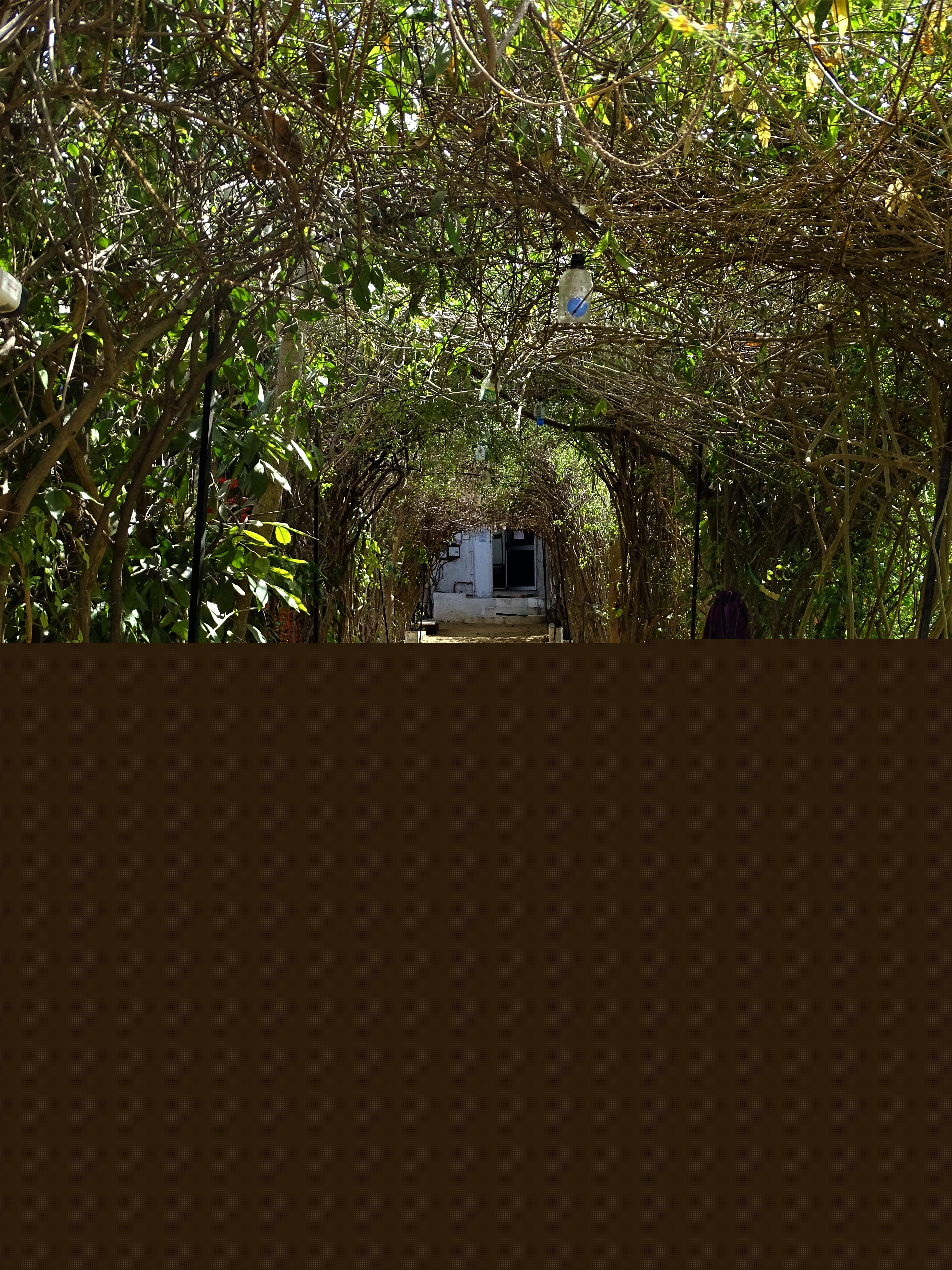 the garden path to the rooms